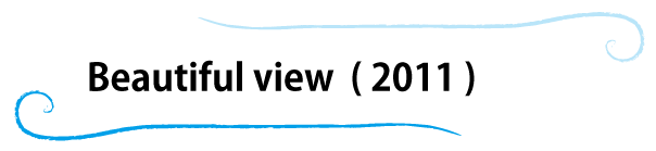 Beautiful view(2011)